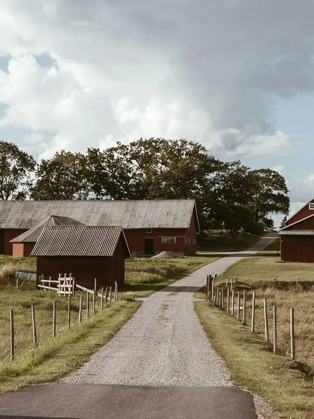 Red barns along a fenced farm track